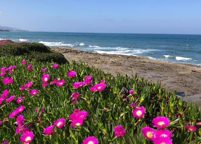 Daire Rincon Da Magna